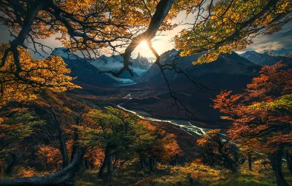 Картинка осень, солнце, свет, деревья, ветки, природа, долина