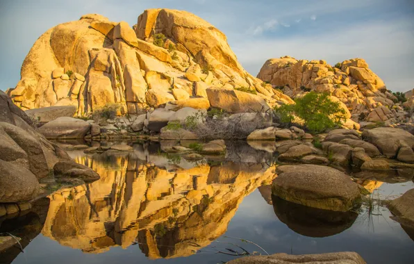 Солнце, озеро, камни, Калифорния, США, кусты, Joshua Tree National Park, Barker Dam