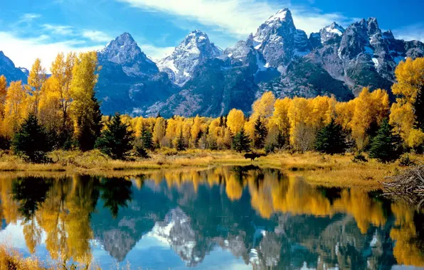 Картинка осень, лес, горы, озеро