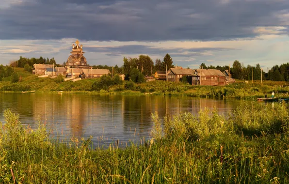 Зелень, лес, лето, небо, трава, свет, тучи, природа