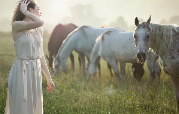 Картинка трава, девушка, туман, утро, лошади, профиль, браслет, шатенка