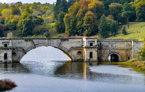 Осень, лес, деревья, мост, парк, река, Англия, Blenheim Park