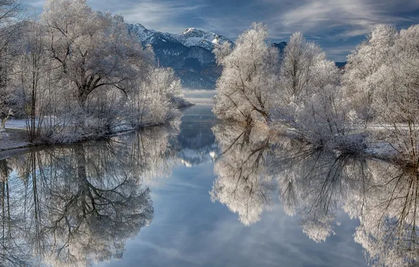 Зима, иней, деревья, горы, озеро, Германия, Бавария