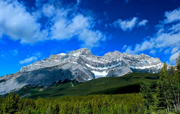 Лес, горы, Канада, Альберта, Banff National Park, Alberta, Canada, Банф
