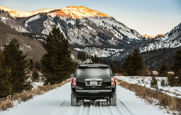 Вид сзади, 2018, GMC, SUV, Denali, Yukon