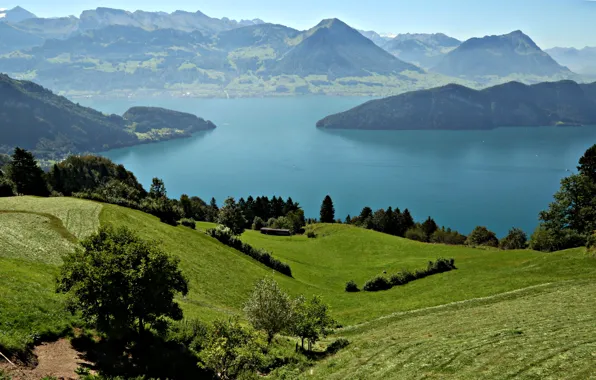 Горы, озеро, поля, Швейцария, луга, Lake Lucerne