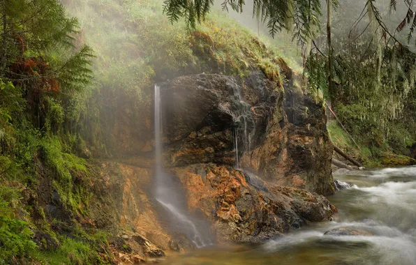 Картинка лес, река, водопад