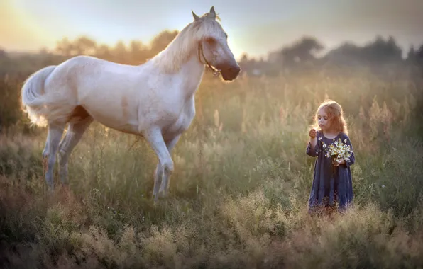 Картинка природа, конь, девочка