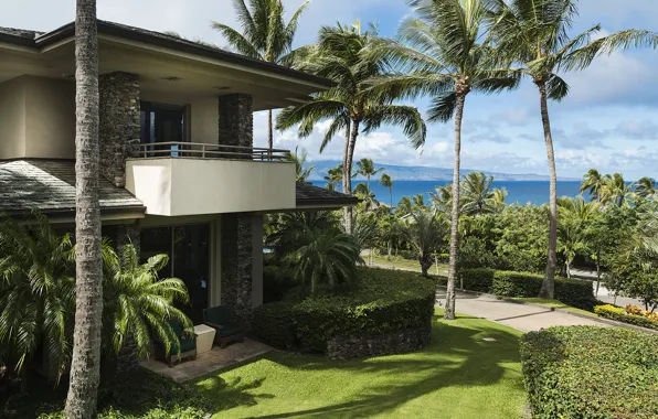 Pacific ocean, garden, home, luxury, hawaii, palm, maui