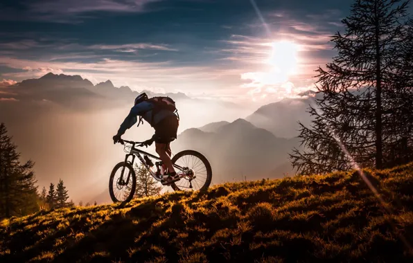 Картинка sport, forest, bicycle, twilight, sky, bike, trees, sunset