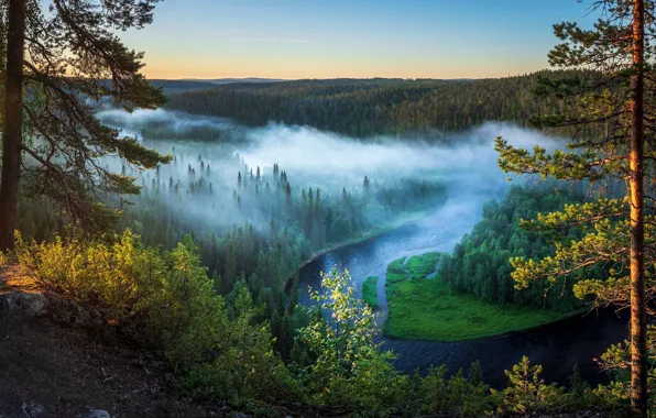 Лес, деревья, туман, река, вид, высота, Финляндия, Kuusamo