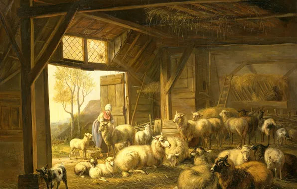 Картинка животные, масло, картина, холст, Jan van Ravenswaay, Овцы и Козы в Сарае