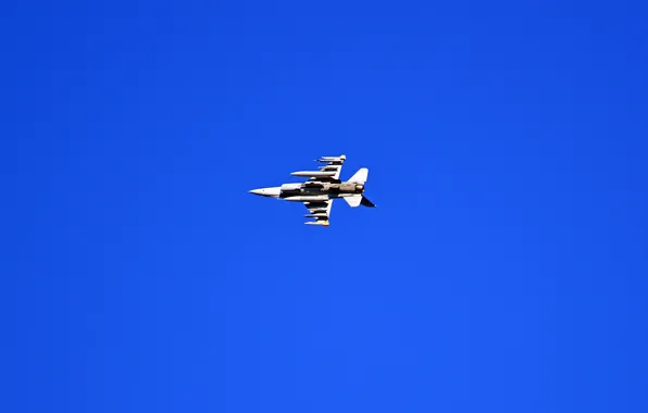 Картинка небо, самолёт, американский, многофункциональный, F-16 Fighting Falcon, лёгкий истребитель четвёртого поколения