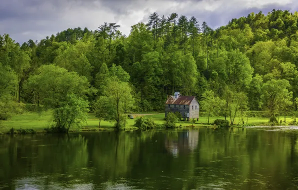 Природа, Река, США, Побережье, Леса, Hiwassee River Tennessee