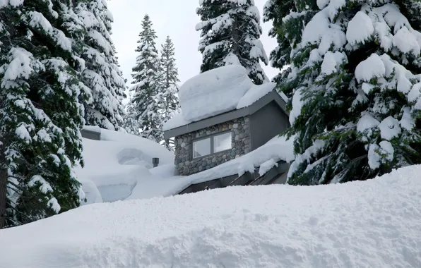 Природа, Nature, Winter house, Снежный лес, Зимний домик, Snowy forest