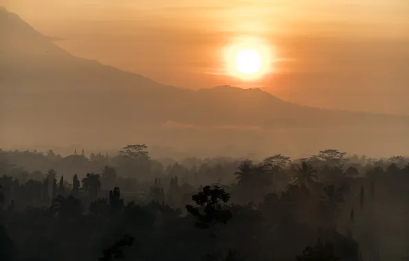 Пейзаж, рассвет, Indonesia, Borobudur