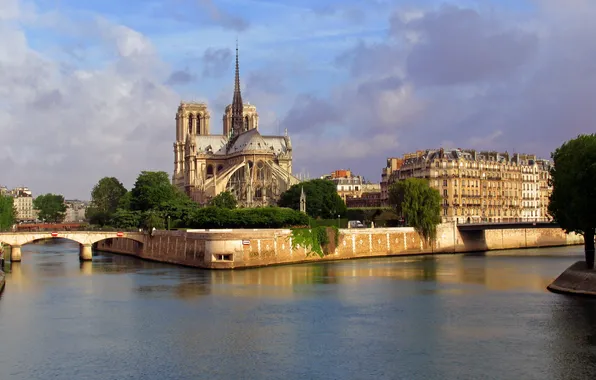 Картинка река, Франция, дома, Собор, Paris, мосты, France, архитектура.