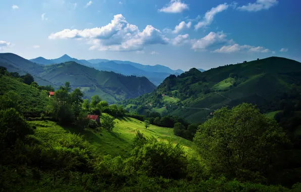 Картинка зелень, лето, небо, трава, облака, деревья, холмы, Испания
