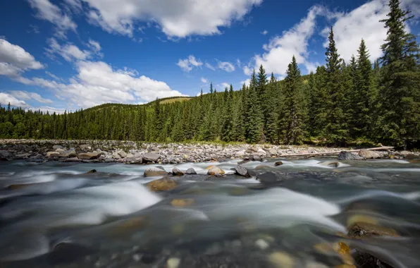Картинка камни, горы, берег, синева, ели, водоем, вода, Альберта