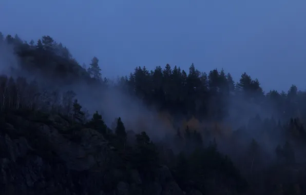 Картинка лес, небо, деревья, природа, туман, Норвегия, сумерки, Norway