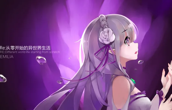 Девушка, С нуля, Re: Zero Kara Hajimeru Isekai Seikatsu