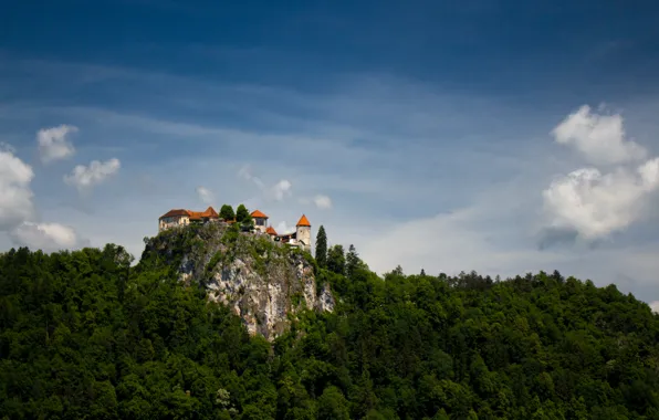 Озеро, Словения, Бледский град, Блед