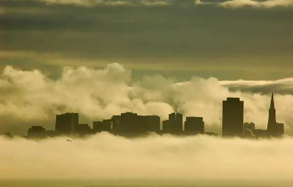 Картинка здания, Туман, чайка