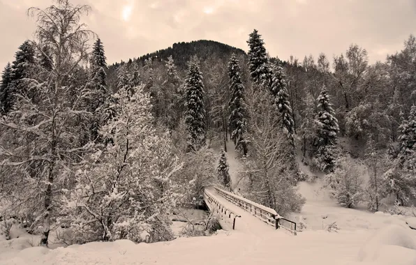 Картинка зима, снег, пейзаж