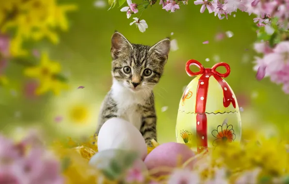 Зелень, кошка, трава, взгляд, цветы, ветки, котенок, серый