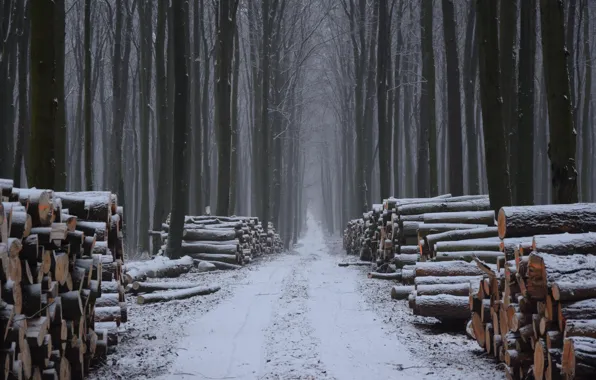 Картинка зима, лес, дрова