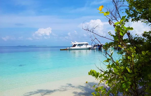 Пляж, океан, берег, остров, Maldives