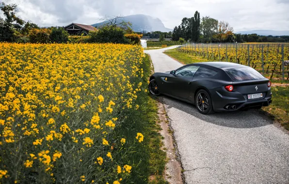 Картинка Цветы, Дорога, Черный, Феррари, Зад, Ferrari, Flowers, Black