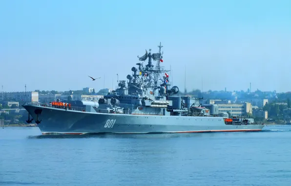 Корабль, сторожевой, проект 1135, Ладный, шифр Буревестник