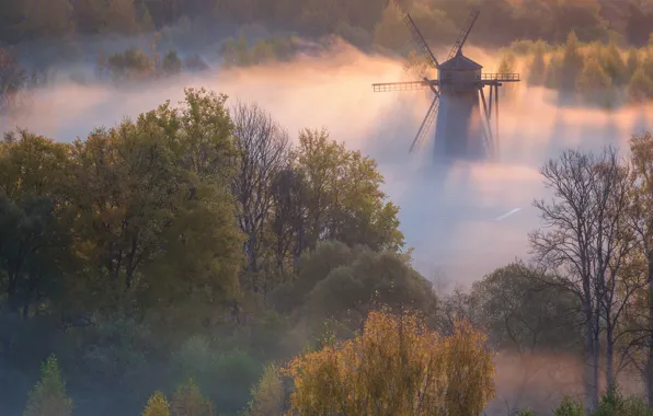 Картинка осень, деревья, пейзаж, природа, туман, рассвет, утро, мельница