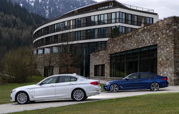 Картинка белый, растительность, BMW, фасад, гибрид, 5er, тёмно-синий, 2017