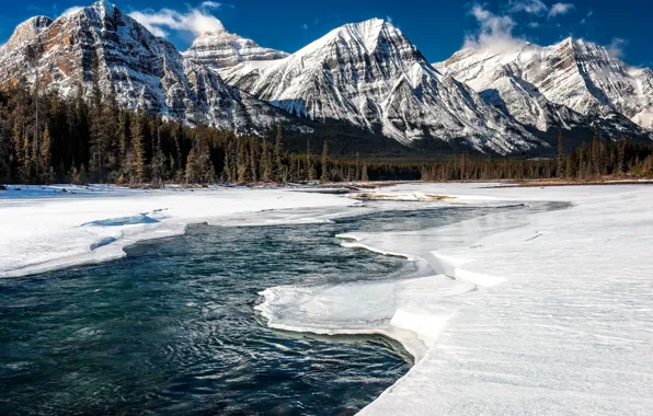 Картинка лед, зима, лес, снег, горы, река, Канада, Alberta