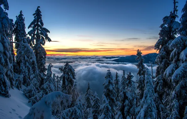 Картинка зима, лес, облака, снег, деревья, закат, горы, ели