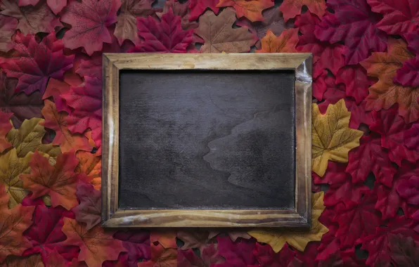 Картинка осень, листья, фон, colorful, red, доска, клен, wood