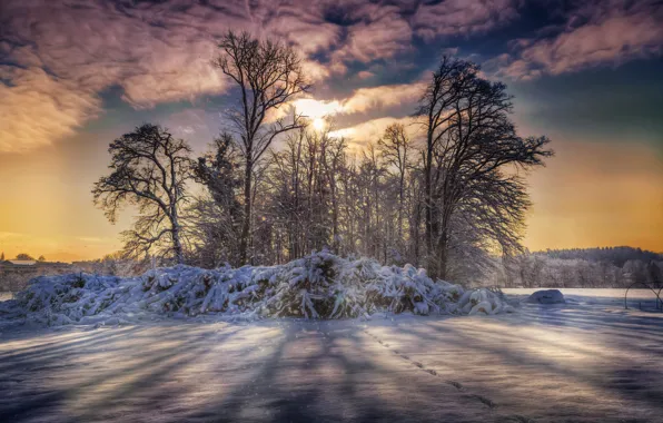 Картинка зима, снег, деревья, облака.обработка