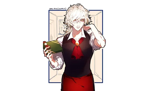 Аниме, арт, книга, парень, Avenger, Fate / Grand Order, Edmond Dantès