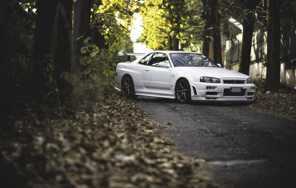 Картинка GTR, Nissan, White, Skyline, R34, Road