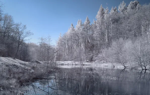 Пейзаж, природа, река