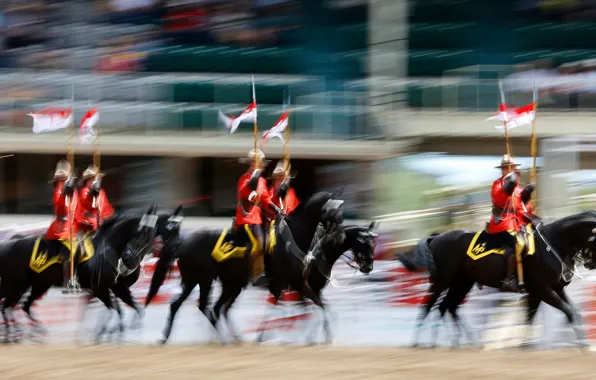 Картинка лошадь, всадник, родео, Королевская канадская конная полиция, Калгарийский Стампид