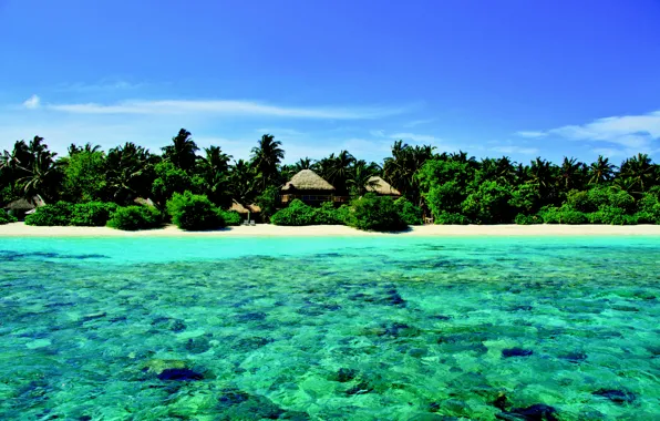 Beach, ocean, Maldives, palms, resort