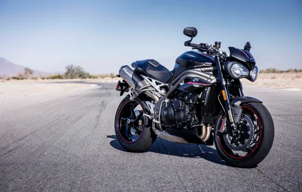 Байк, 2018, Triumph, Speed Triple RS