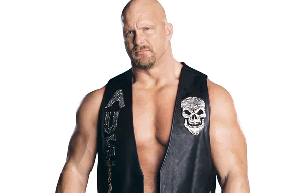 Взгляд, лысый, актер, рестлер, WWE, жилетка, Steve Austin, Стив Остин