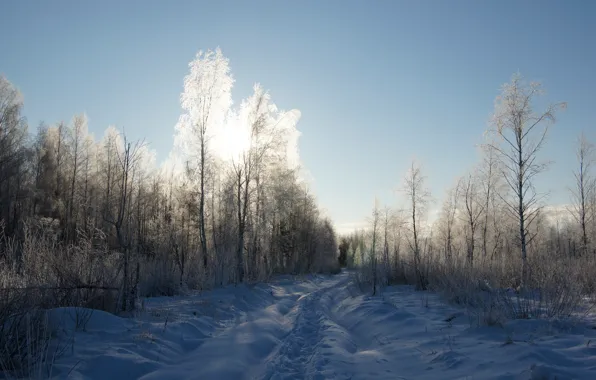 Картинка иней, дорога, лес, небо, солнце, свет, снег, деревья