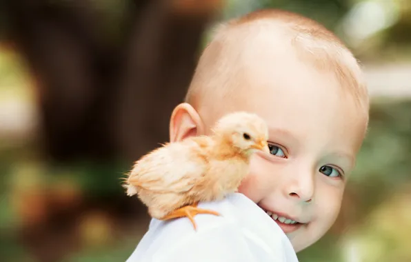 Smile, child, duckling
