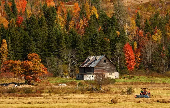 Картинка поле, осень, лес, природа, дом, фото, трактор