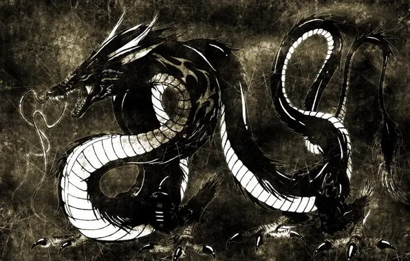 Картинка черный фон, 2012, dragon, год дракона, наступающий, водяной китайский дракон